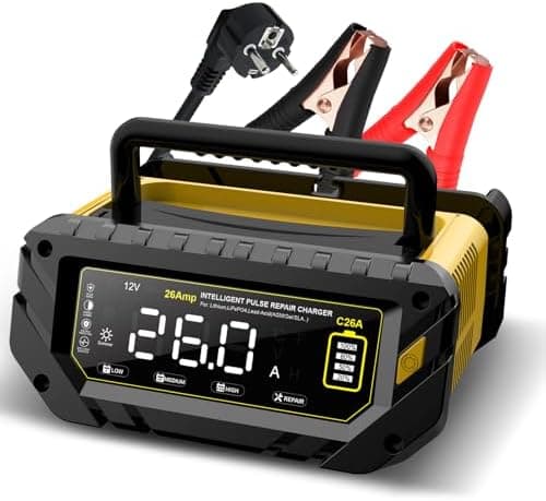 Haisito 12V/24V 10A LiFePO4 ErhaltungsladegerätAuto mit LCD-Temperaturkompensation